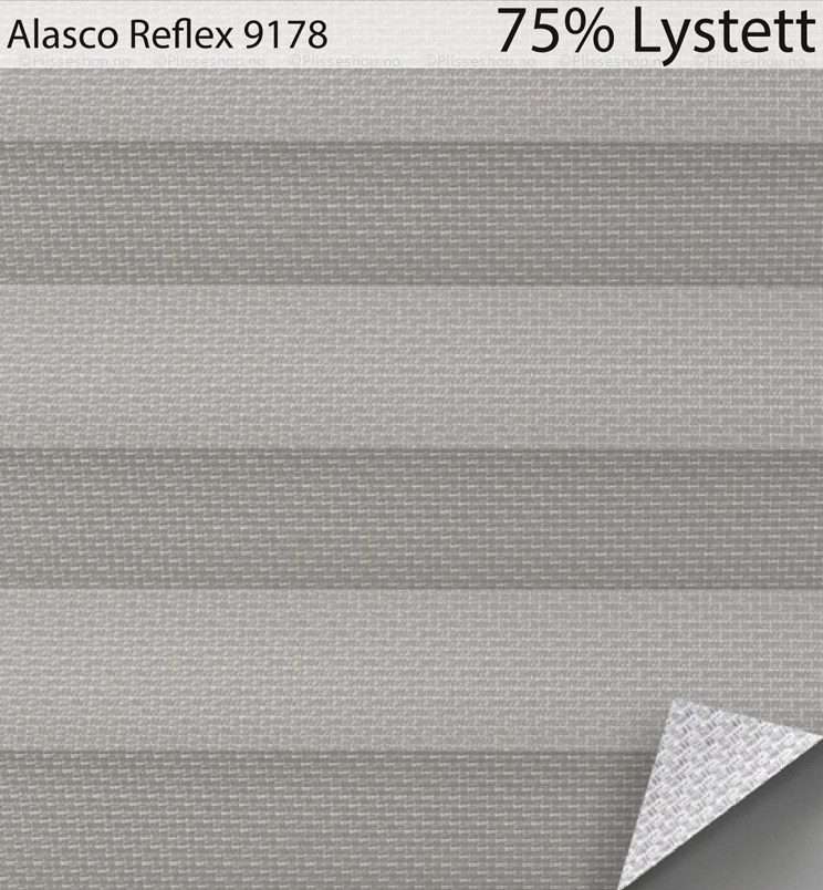 Alasco-Reflex-9178