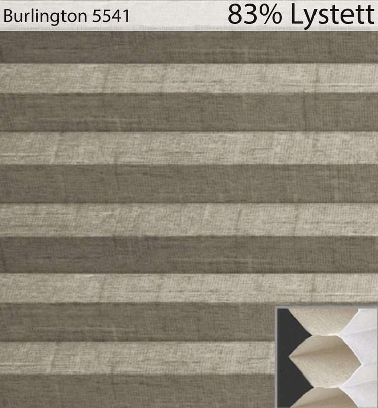 Burlington-5541