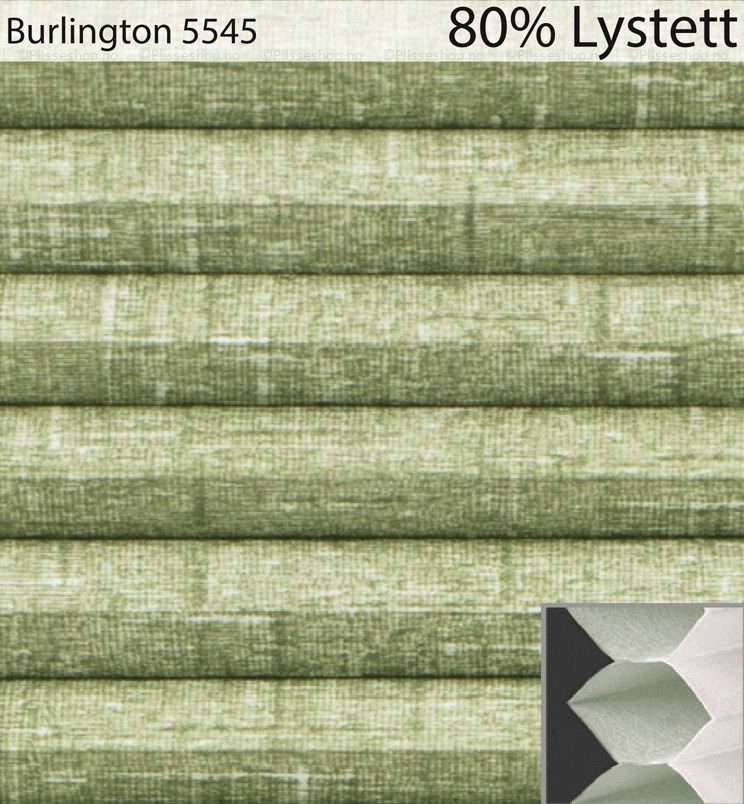 Burlington-5545