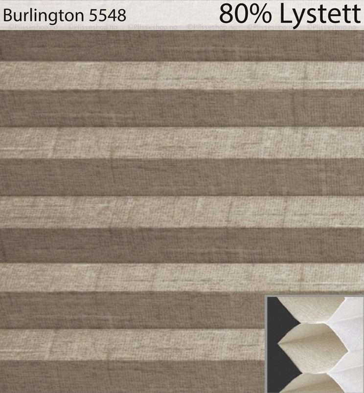 Burlington-5548