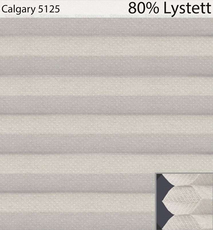 Calgary-5125