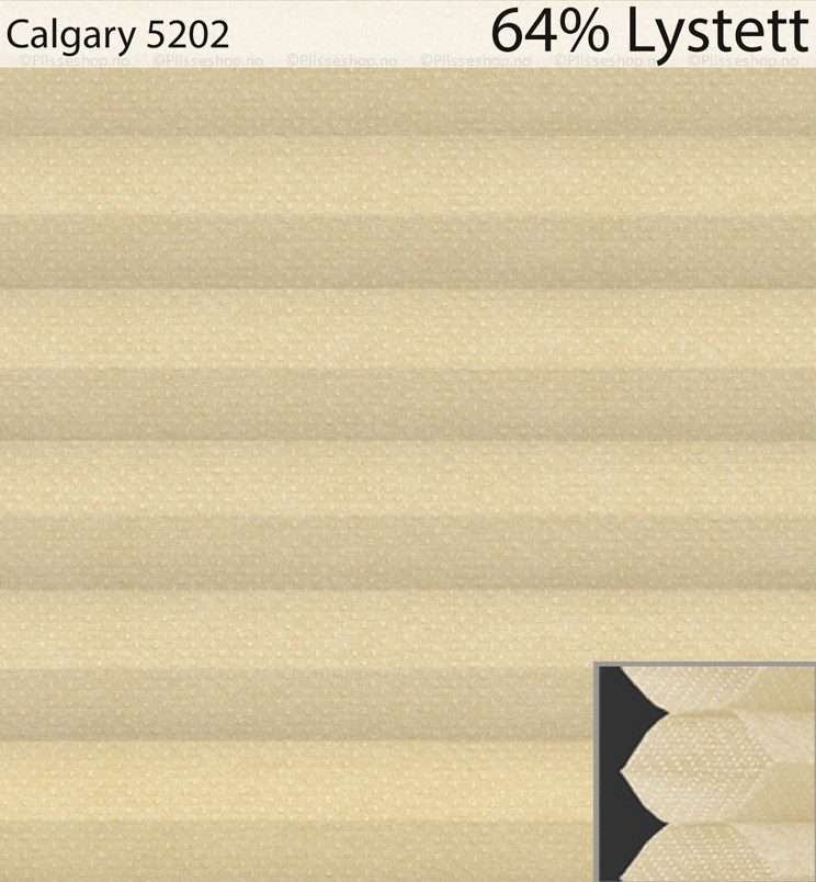 Calgary-5202