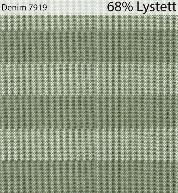 Denim-7919
