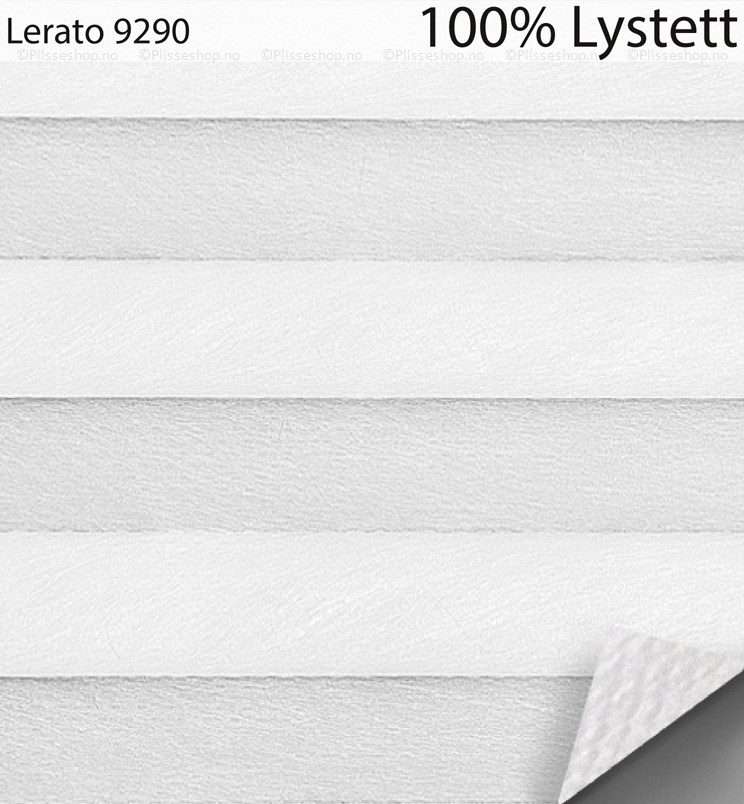 Lerato-9290