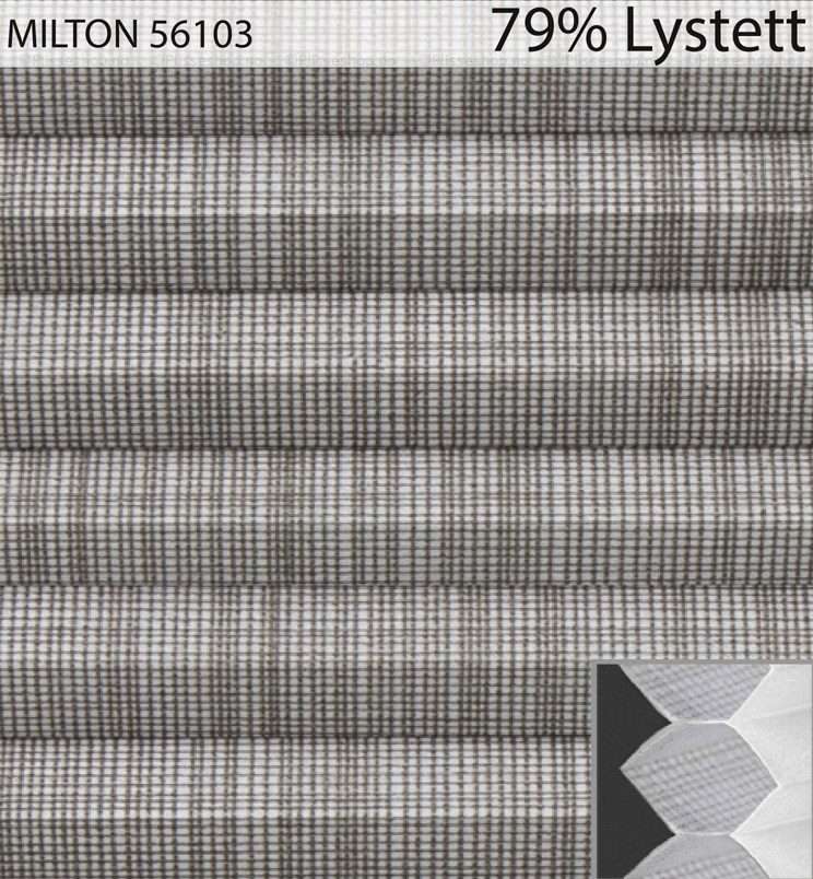 MILTON-56103