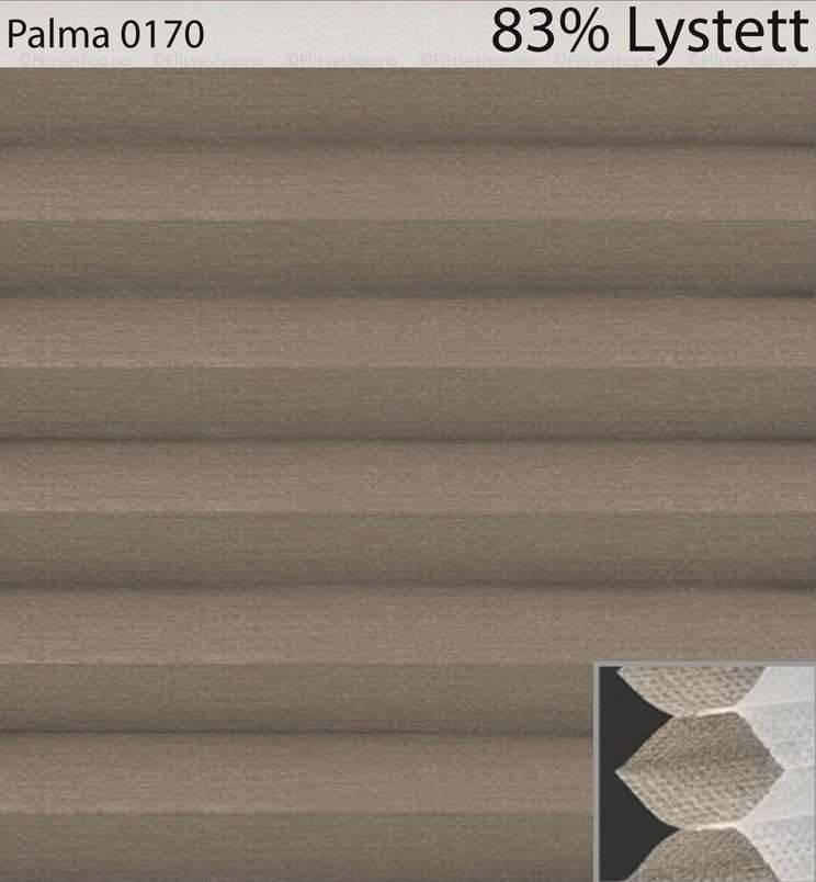 Palma-0170
