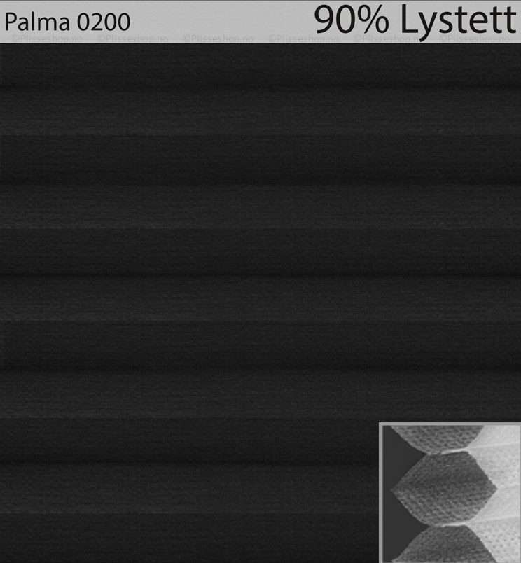 Palma-0200