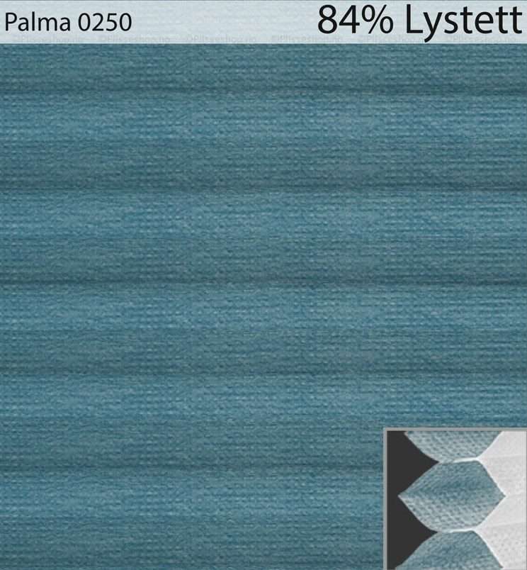 Palma-0250