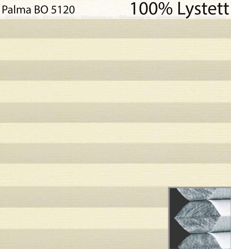 Palma-BO-5120