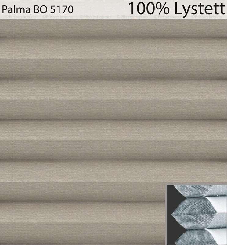Palma-BO-5170