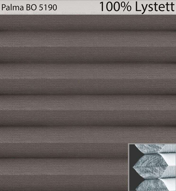 Palma-BO-5190