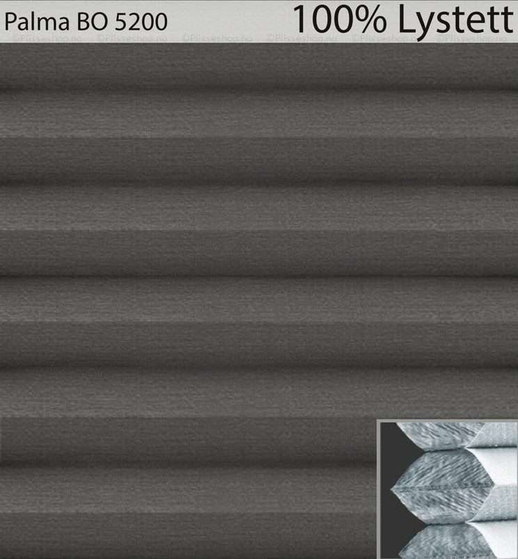 Palma-BO-5200