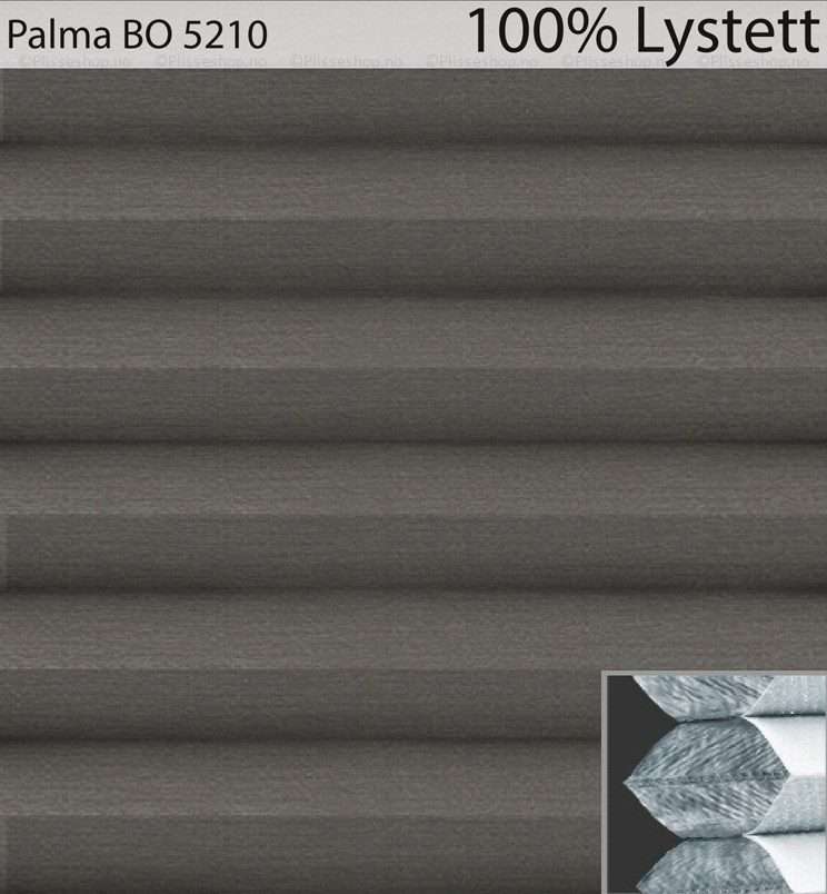 Palma-BO-5210