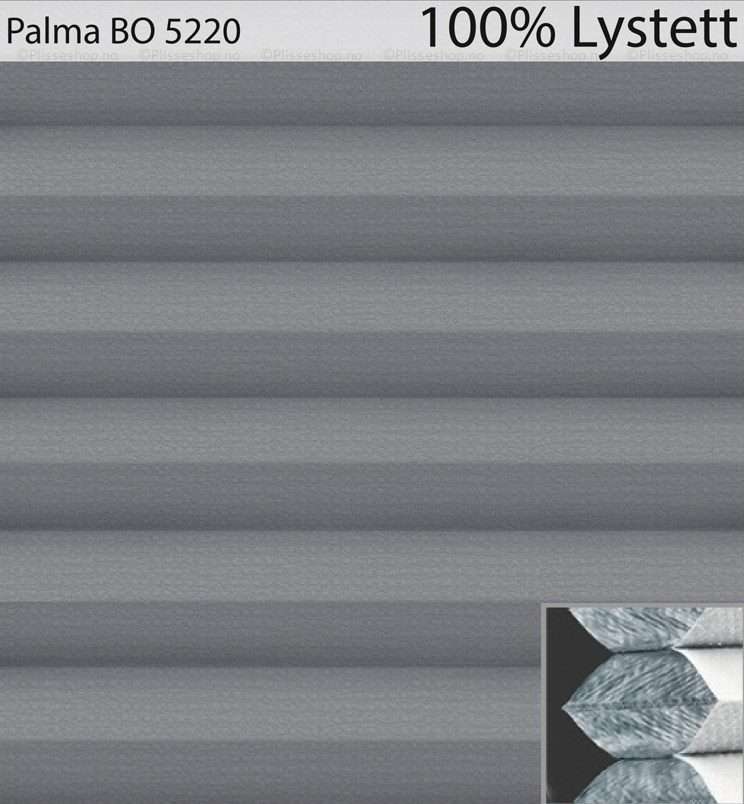 Palma-BO-5220