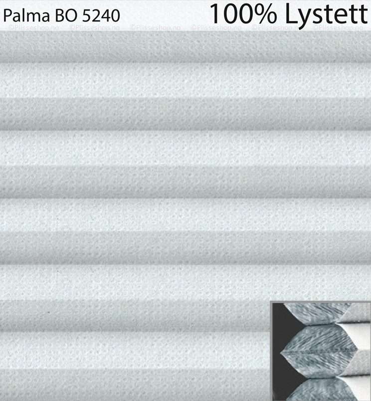Palma-BO-5240