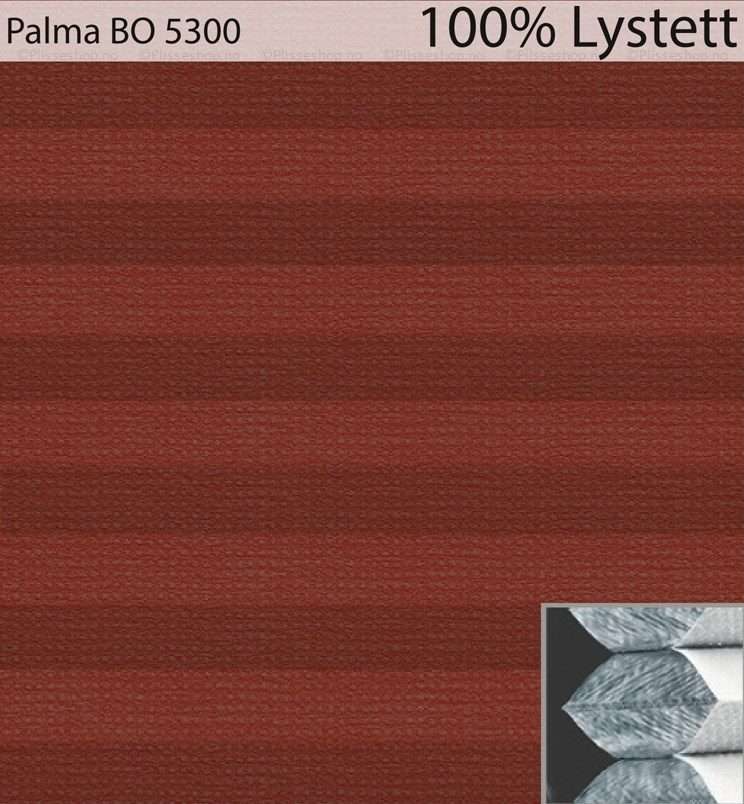 Palma-BO-5300