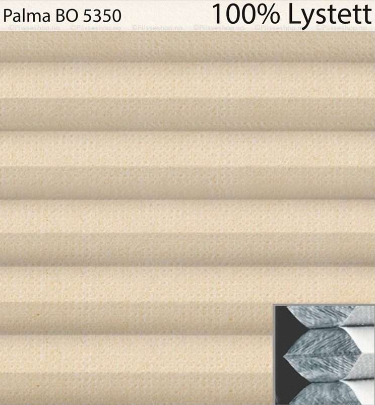 Palma-BO-5350