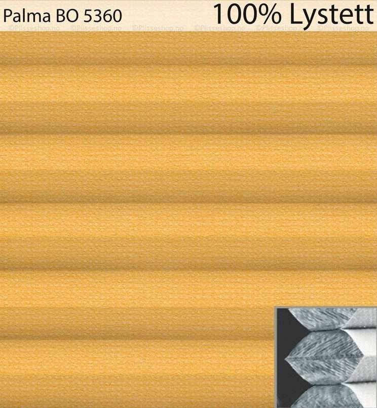 Palma-BO-5360