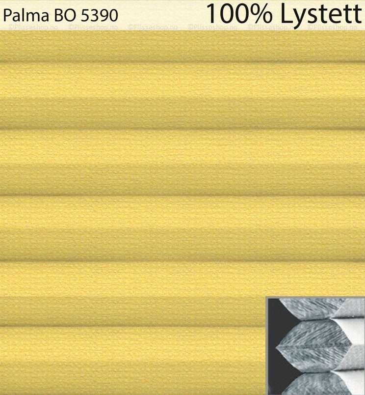 Palma-BO-5390