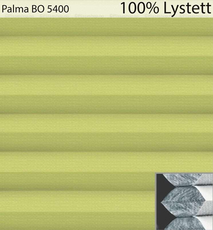 Palma-BO-5400