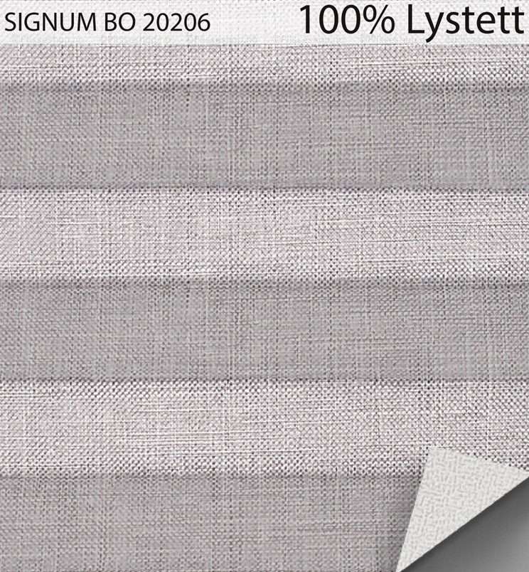 SIGNUM-BO-20206