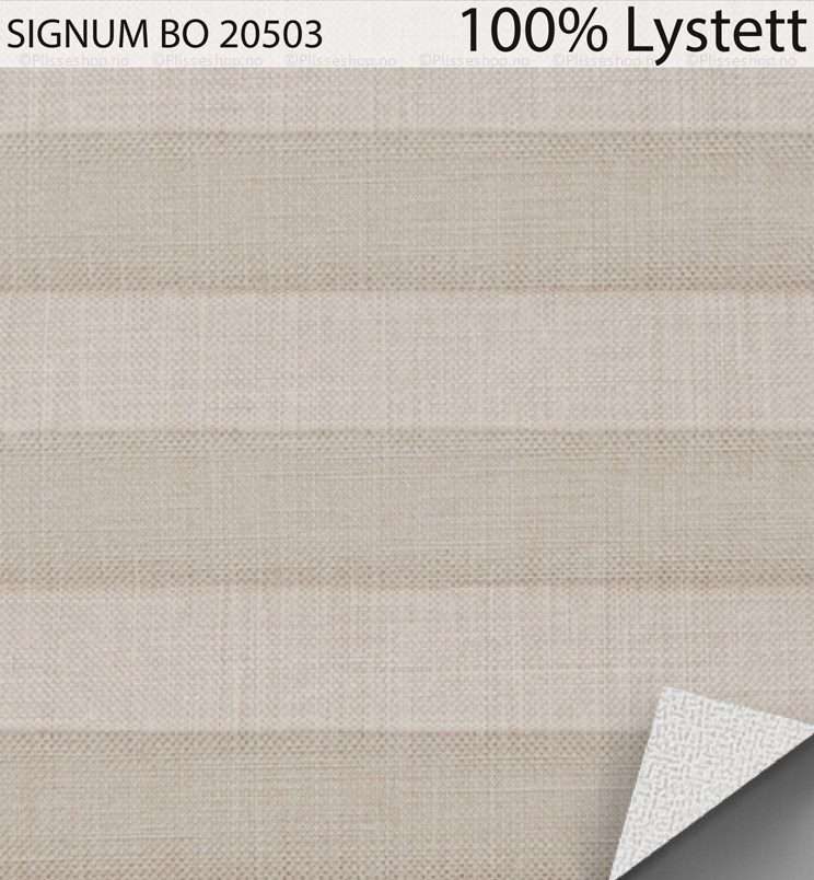 SIGNUM-BO-20503