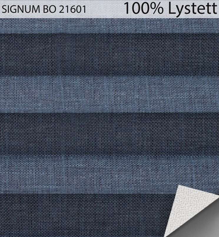 SIGNUM-BO-21601
