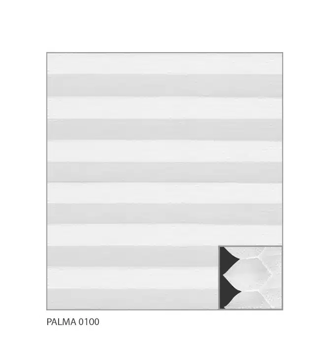 Palma 0100