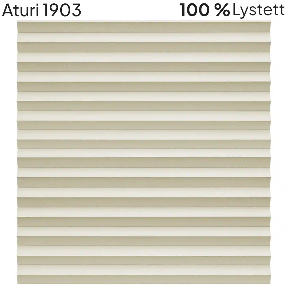 Aturi 1903