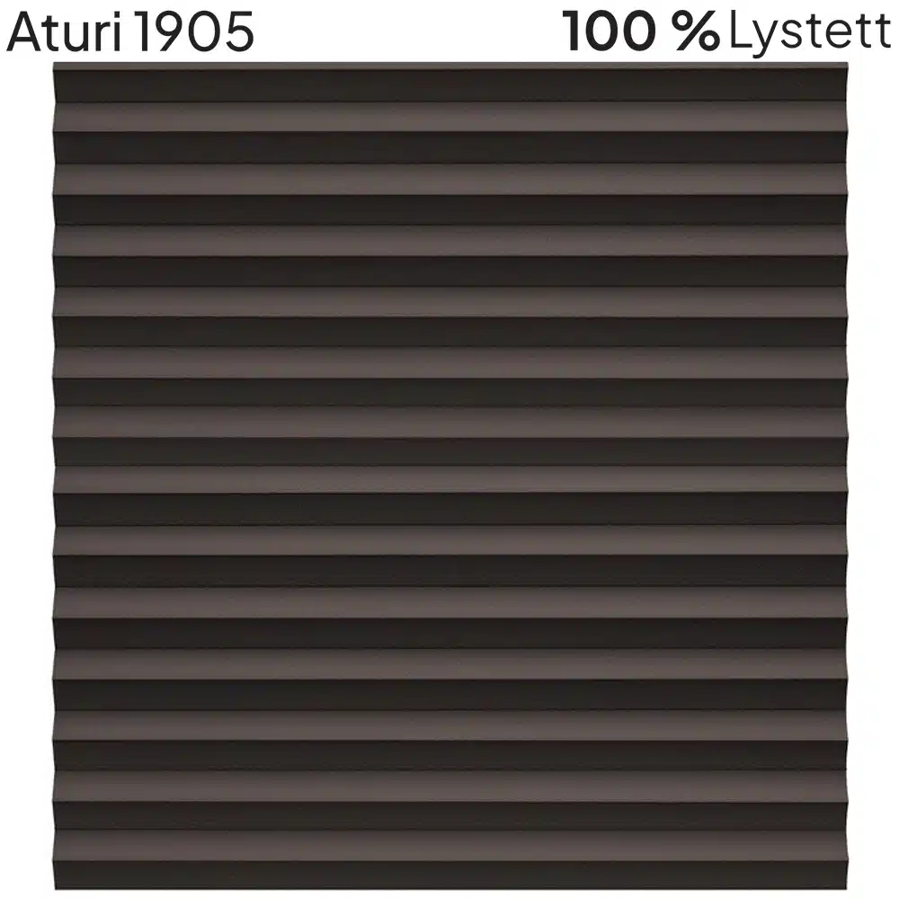 Aturi 1905