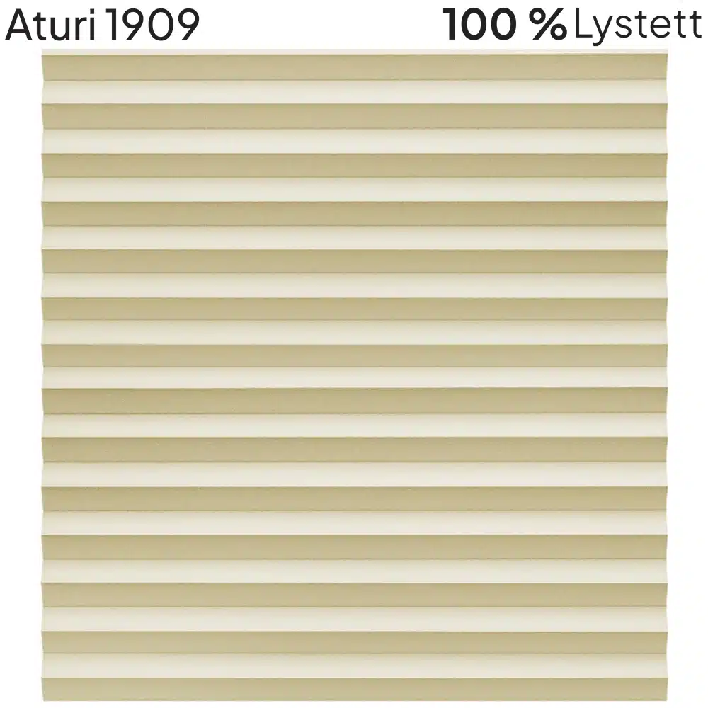 Aturi 1909