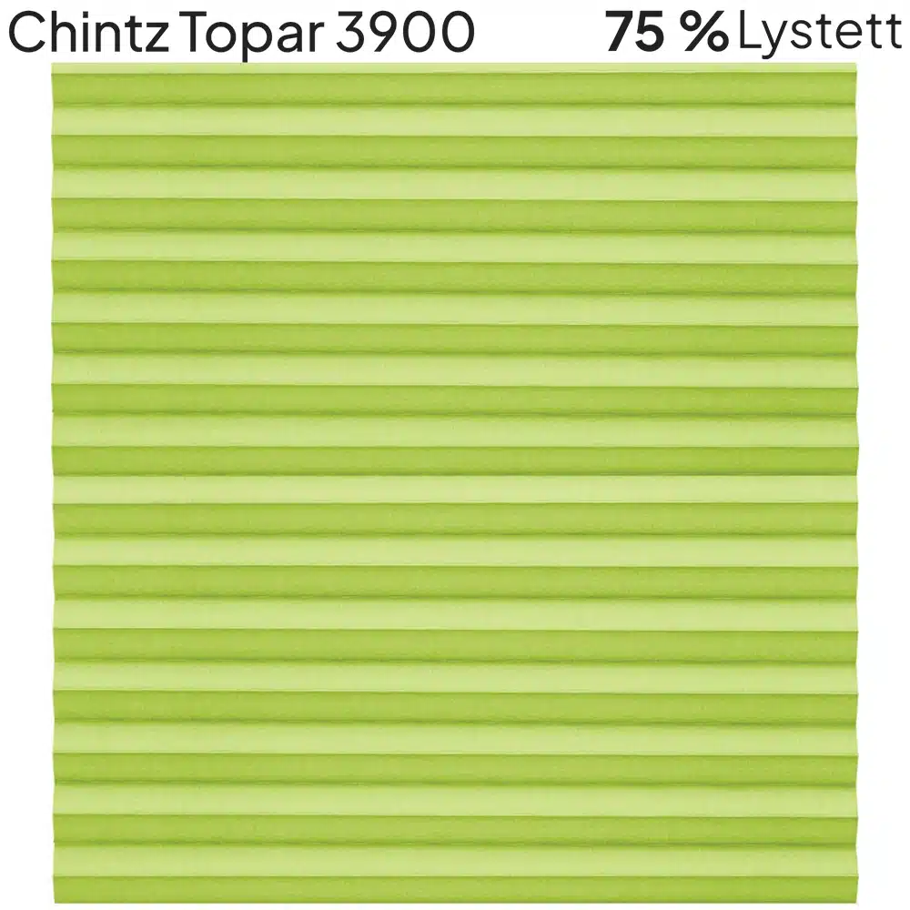 Chintz Topar 3900