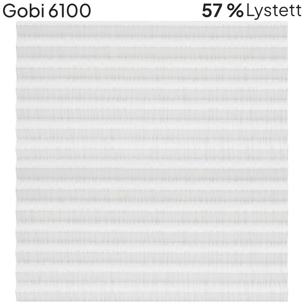 Gobi 6100