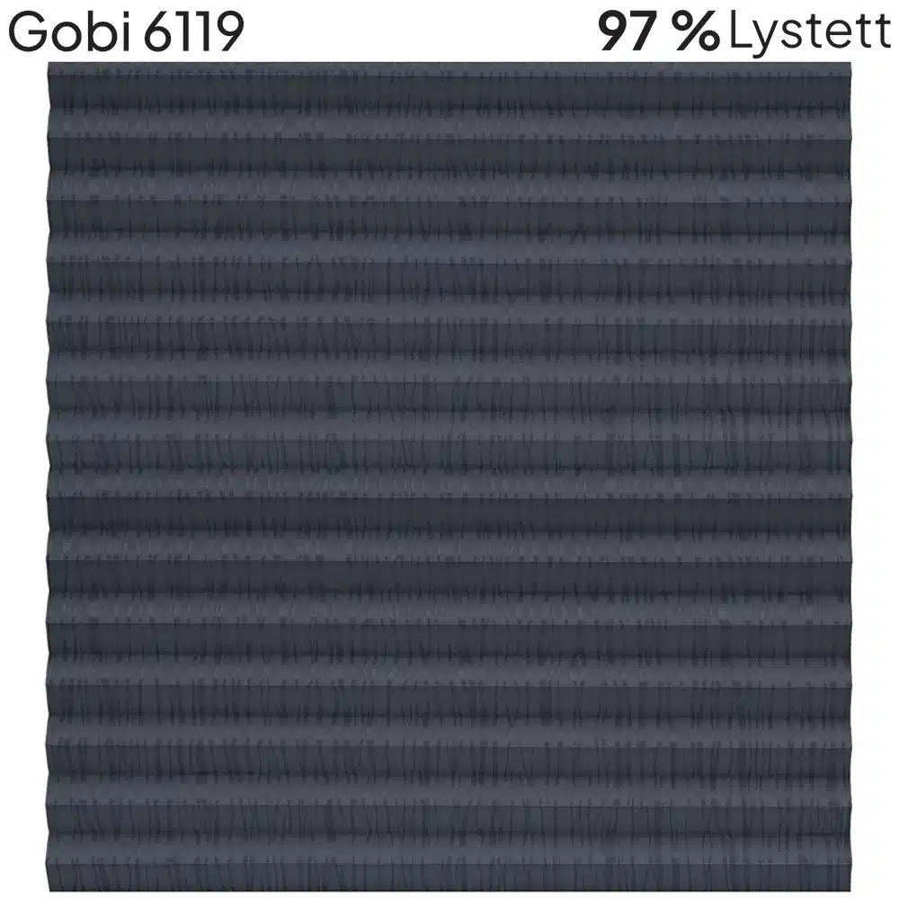 Gobi 6119
