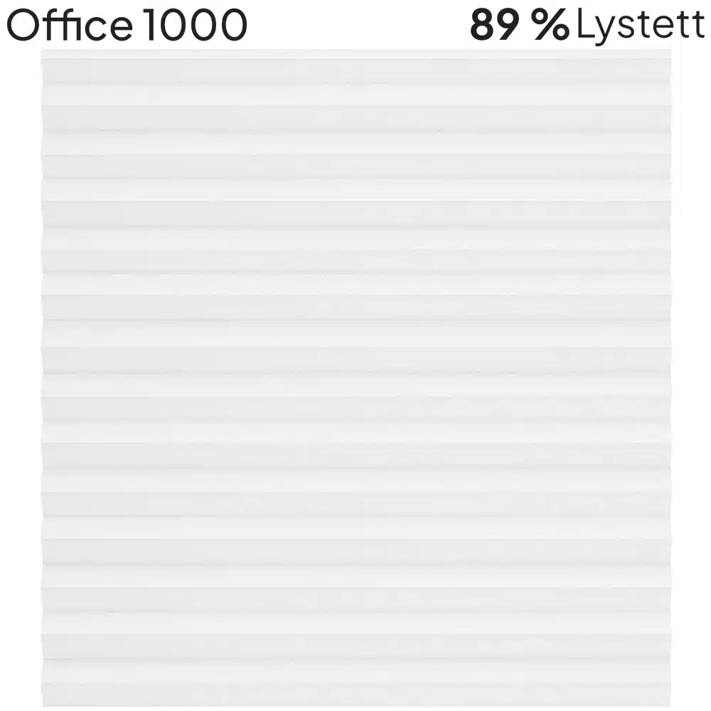 Office 1000