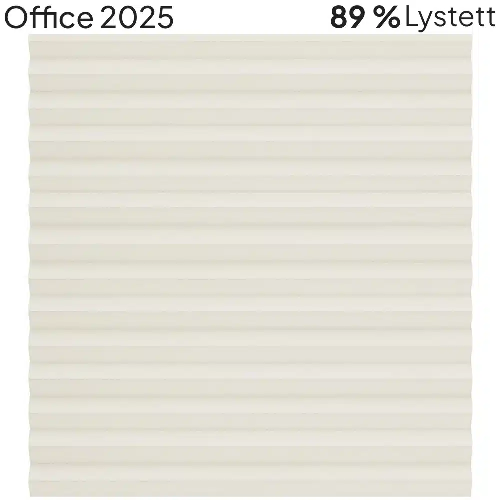Office 2025