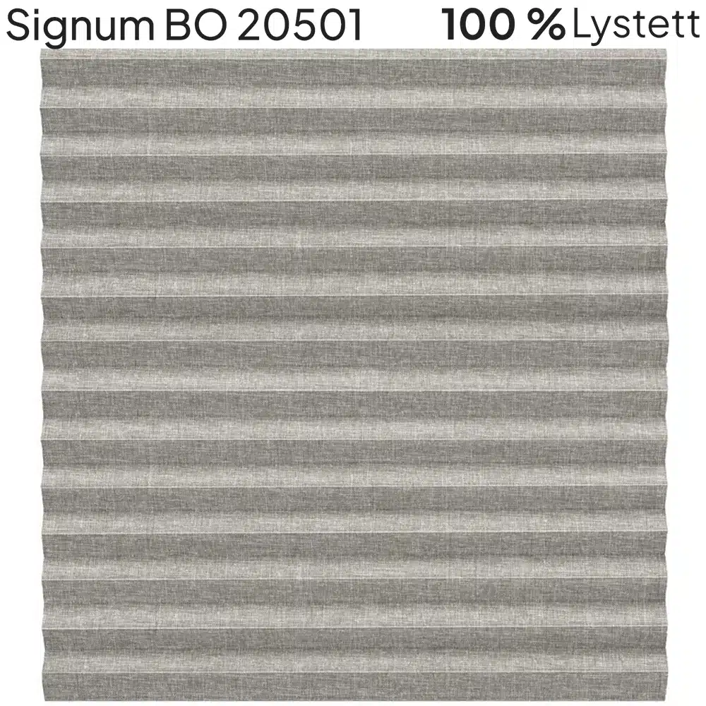 Signum BO 20501