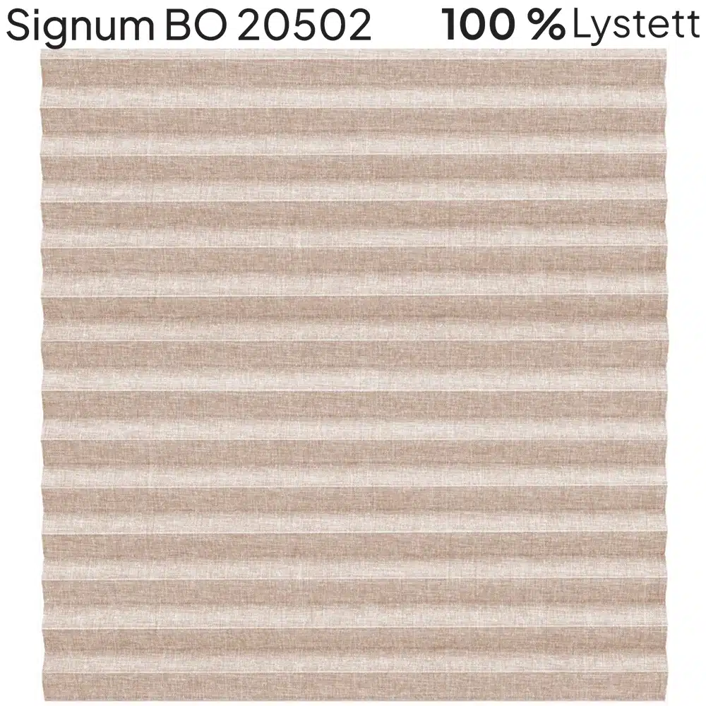 Signum BO 20502