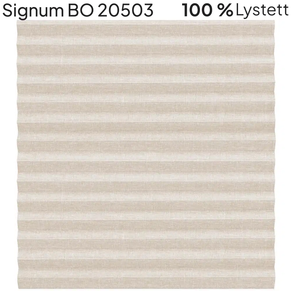 Signum BO 20503