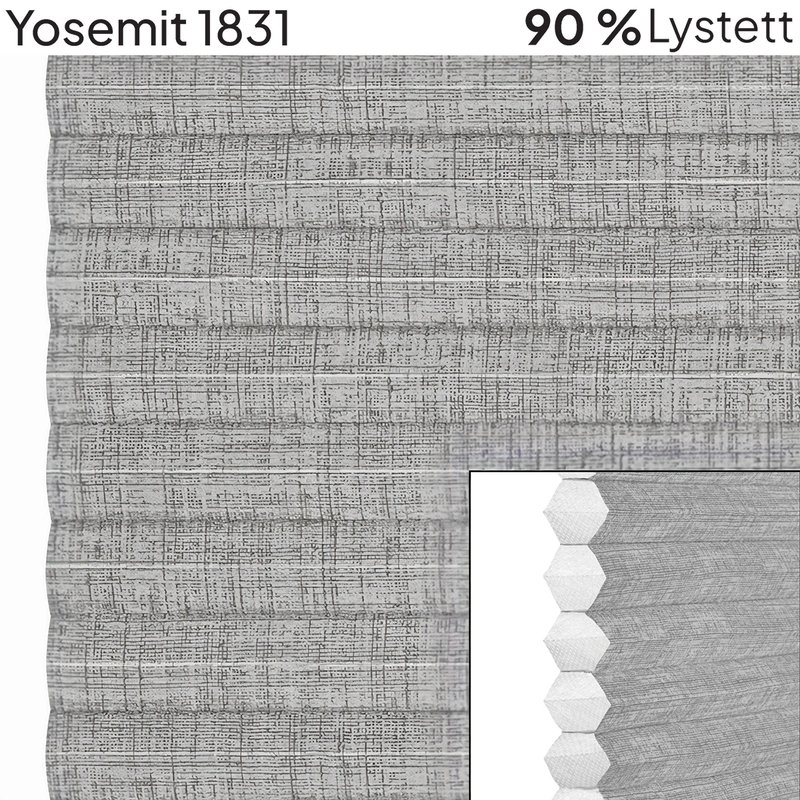 Yosemit 1831