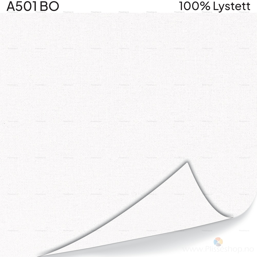 A501 BO