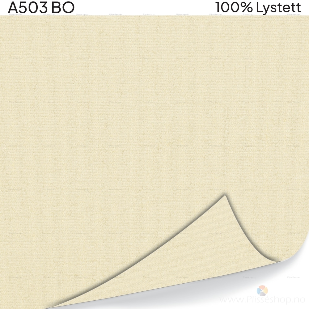 A503 BO