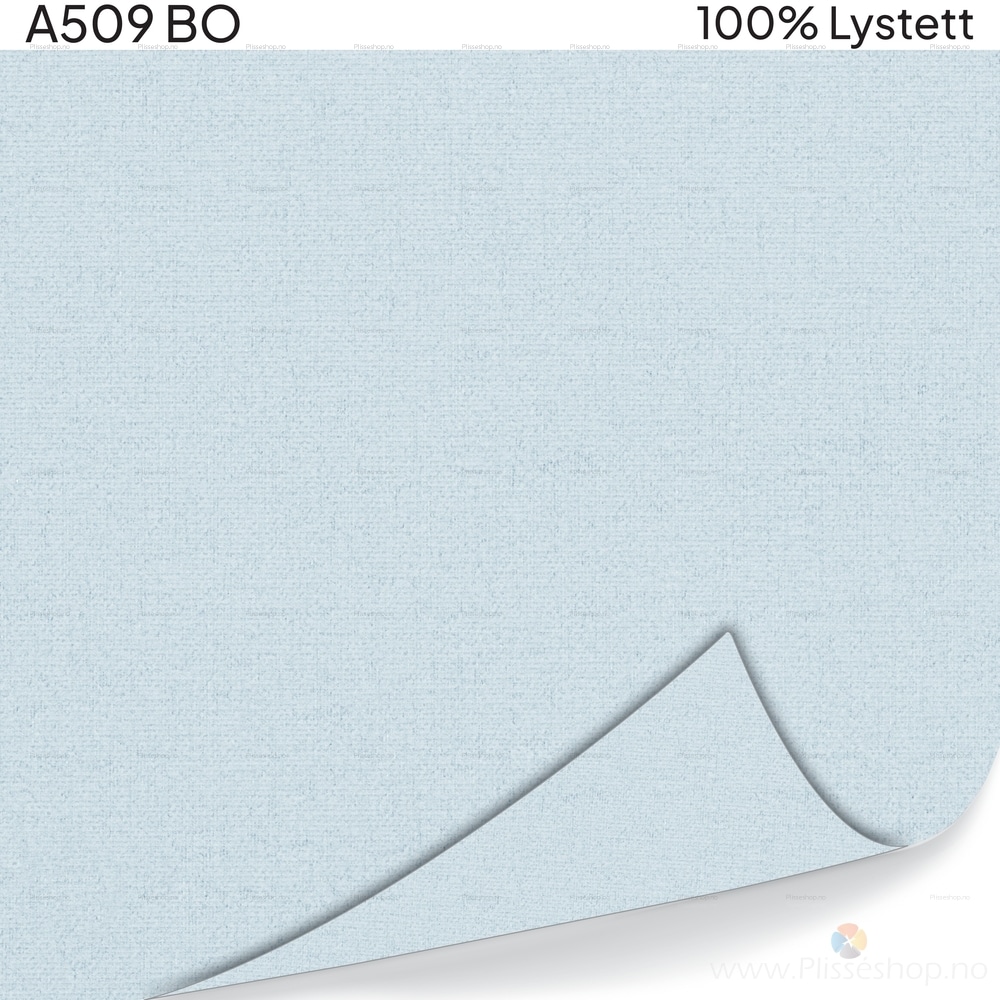 A509 BO