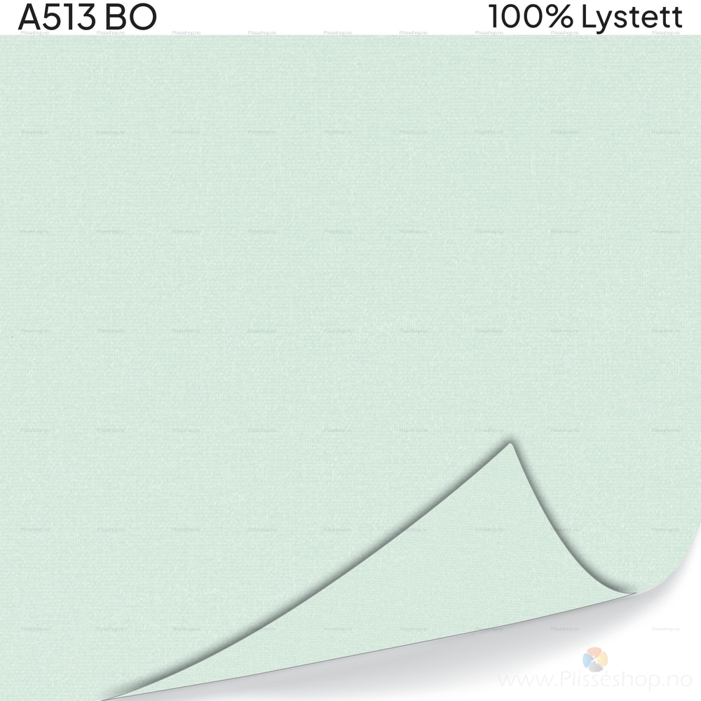 A513 BO