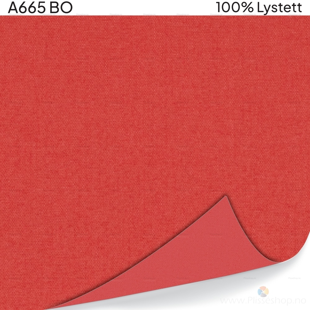 A665 BO