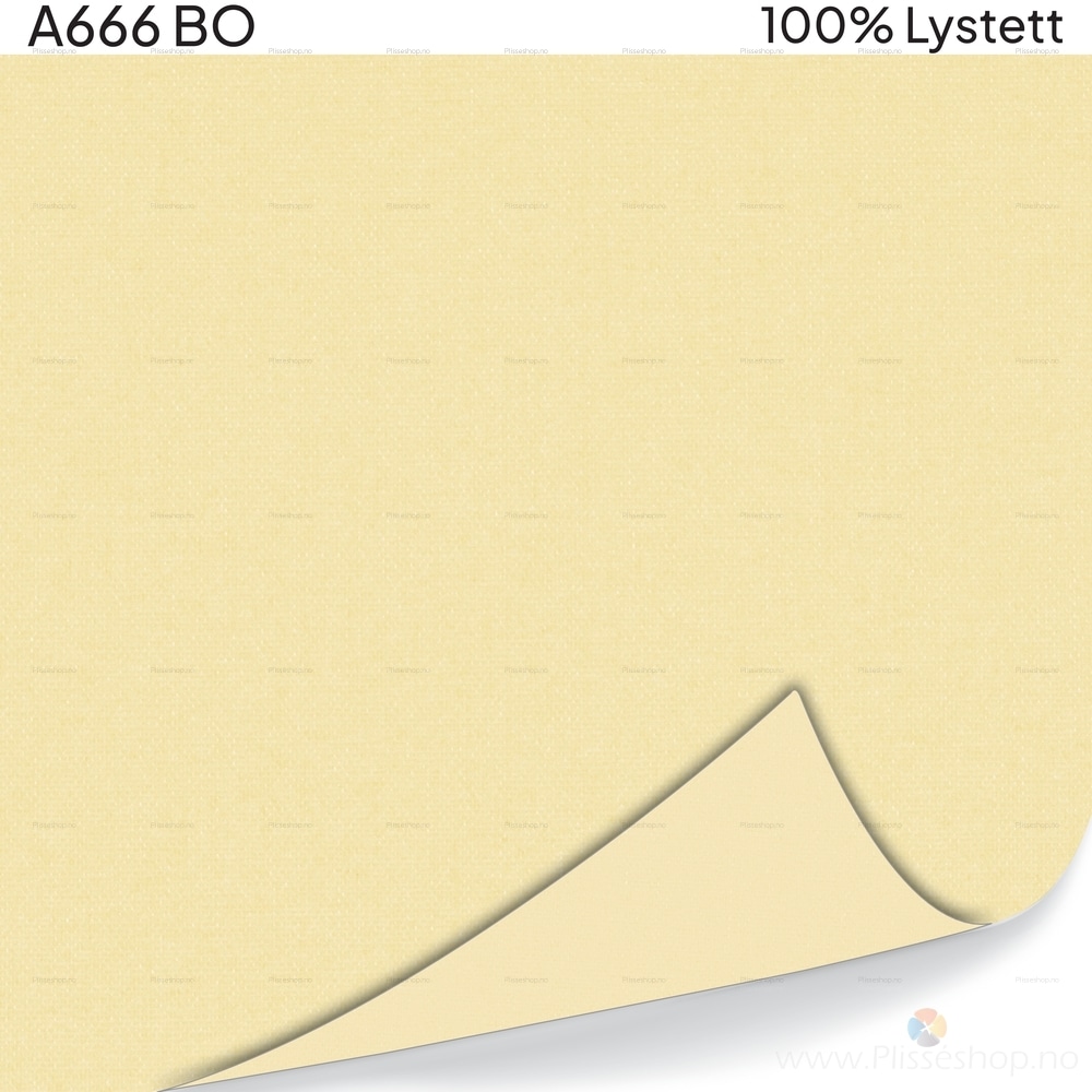 A666 BO