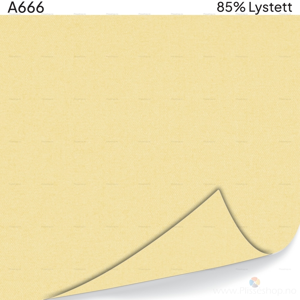 A666