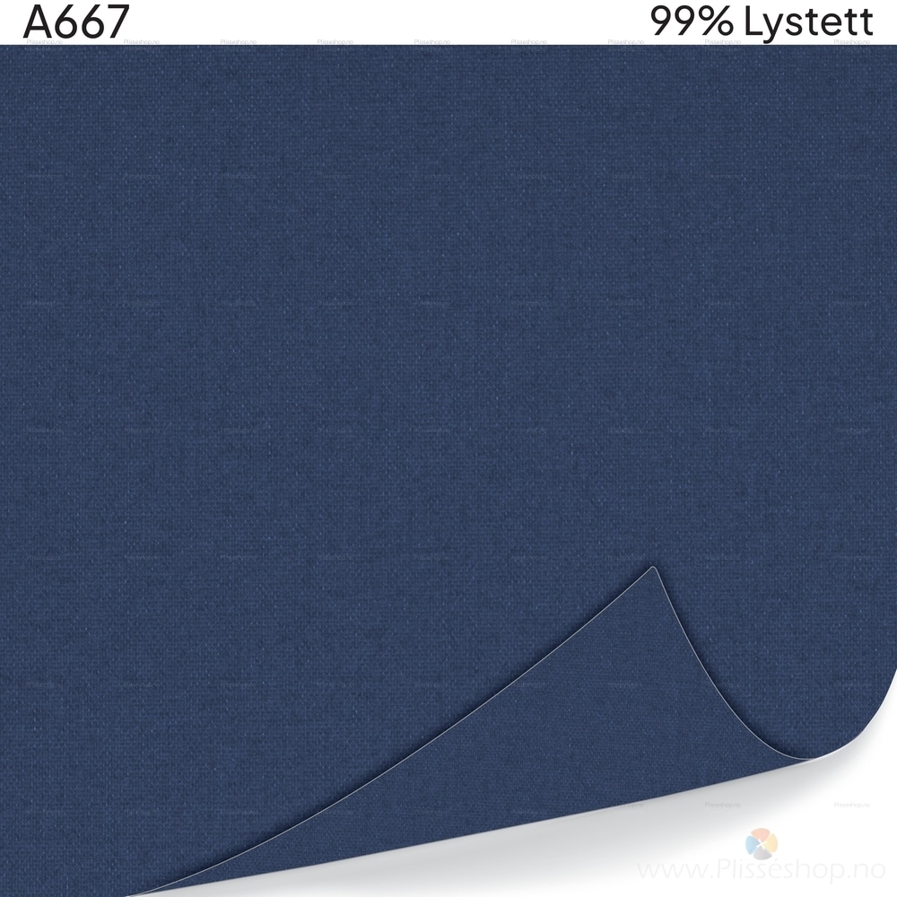 A667