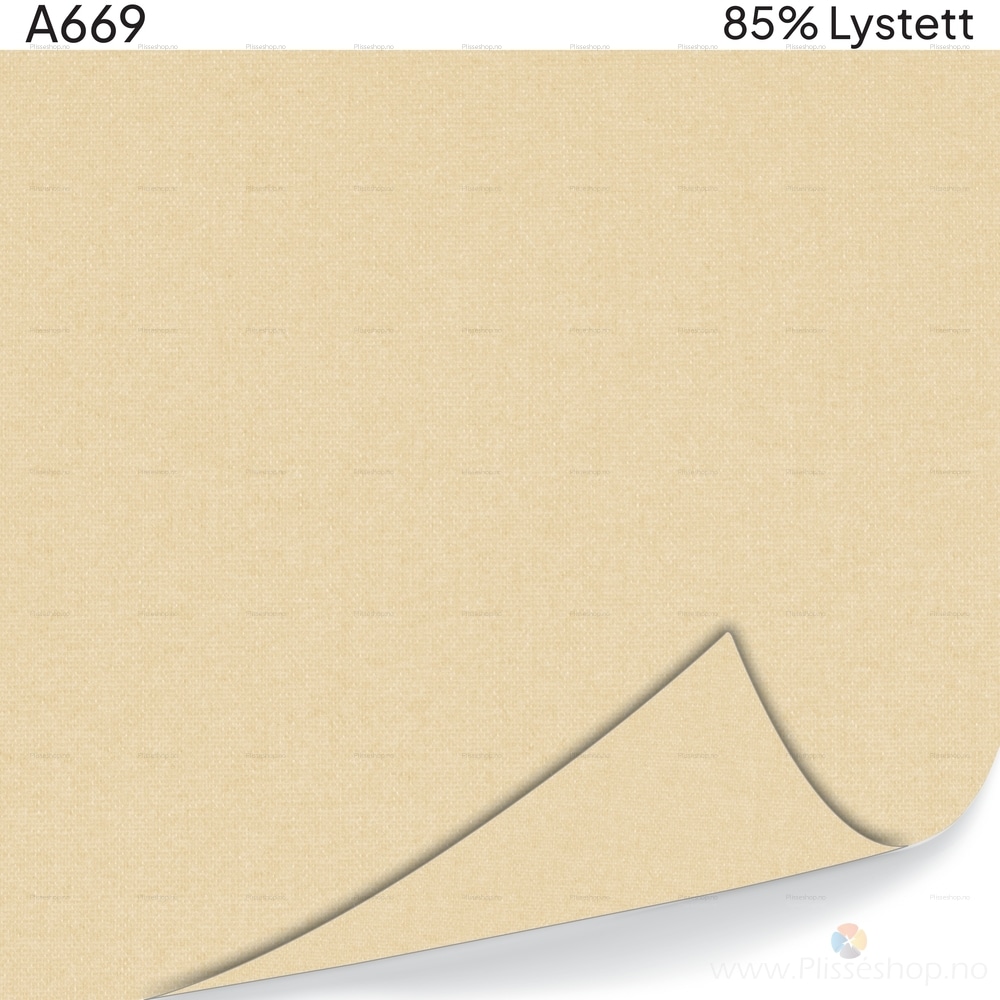 A669