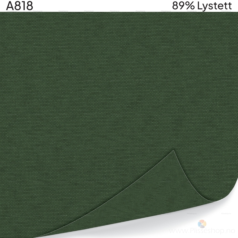 A818